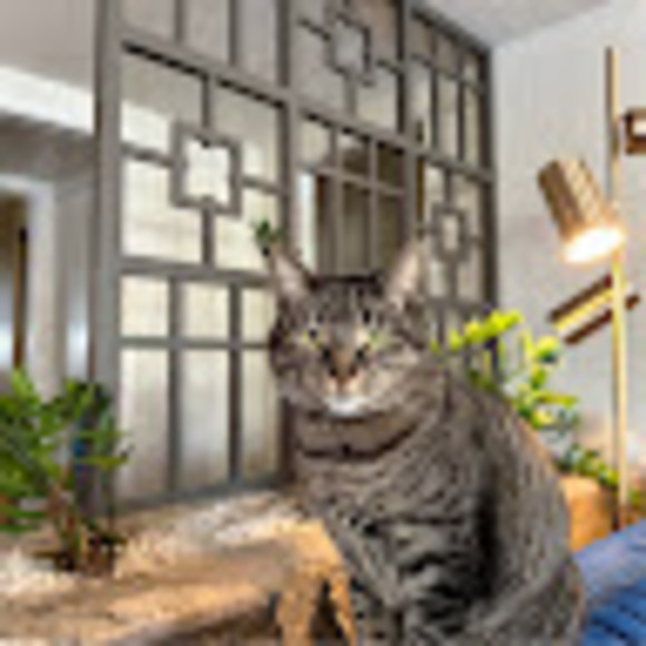 rebeccakouri707